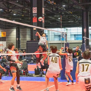 Meet your Posher, Jayden